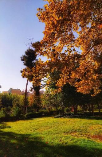 عکس بوستان طلوع