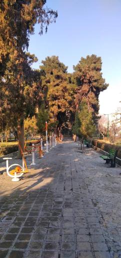 عکس بوستان طلوع