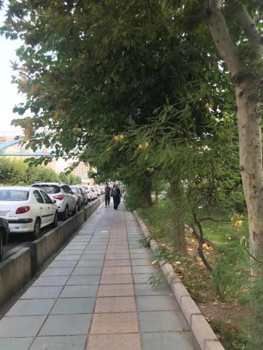 عکس بوستان طلوع