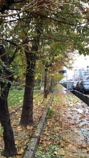 عکس بوستان طلوع