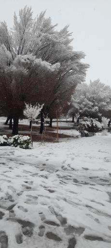 عکس دانشگاه بیرجند