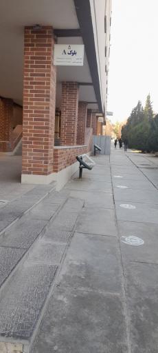 عکس دانشگاه بیرجند