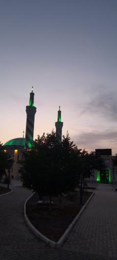 عکس دانشگاه بیرجند