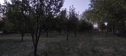 عکس برنلیق حسین خان