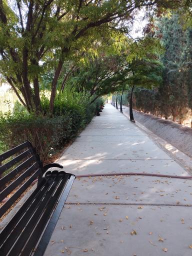 عکس دانشگاه بیرجند