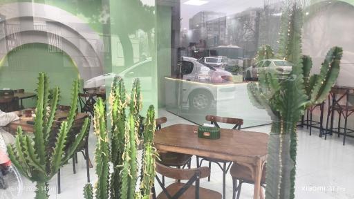 عکس کافه گرین