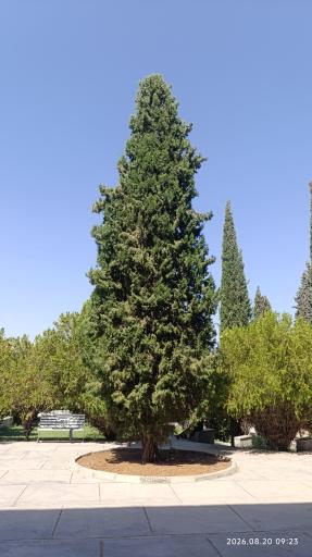 عکس دانشگاه بیرجند