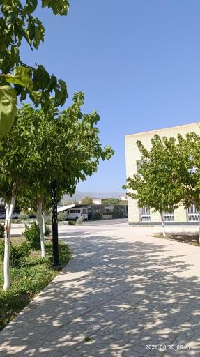 عکس دانشگاه بیرجند