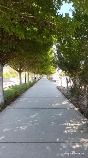 عکس دانشگاه بیرجند