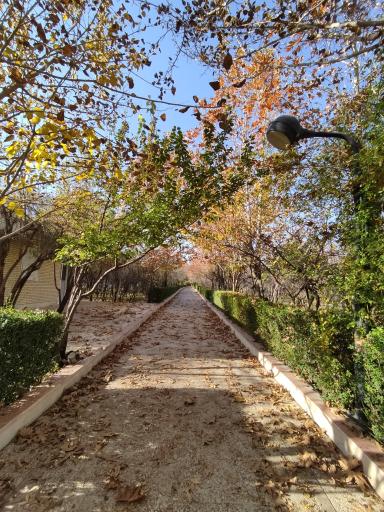 عکس باغ خانواده