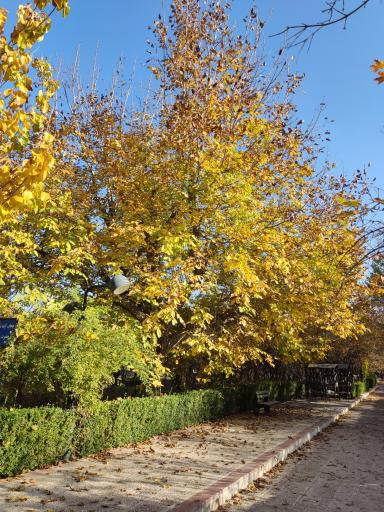 عکس باغ خانواده