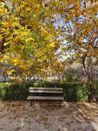 عکس باغ خانواده