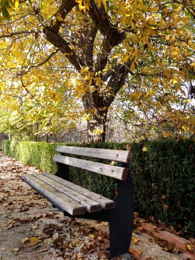 عکس باغ خانواده