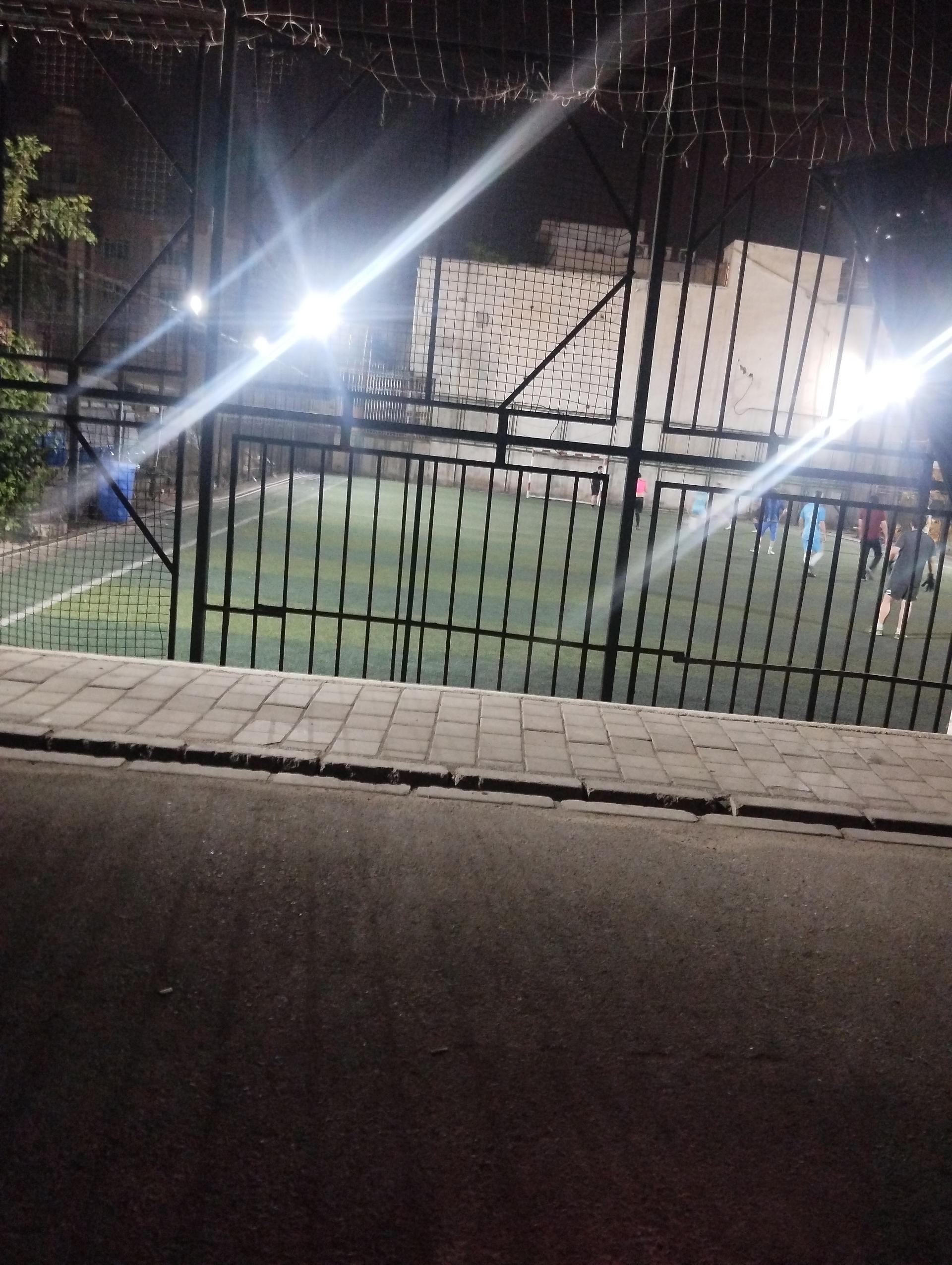 عکس چمن مصنوعی 