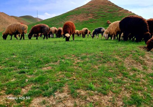 عکس قله هزار مسجد
