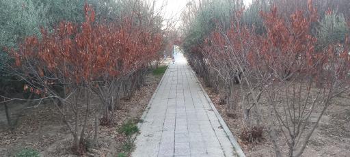 عکس پارک خیرین مدرسه ساز