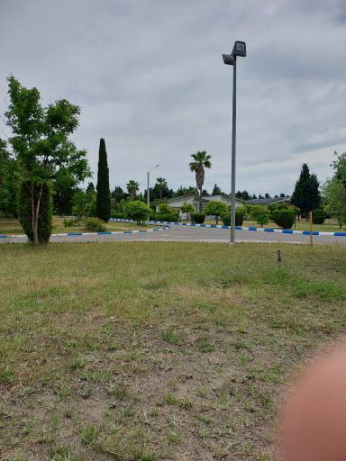 عکس فضای سبز