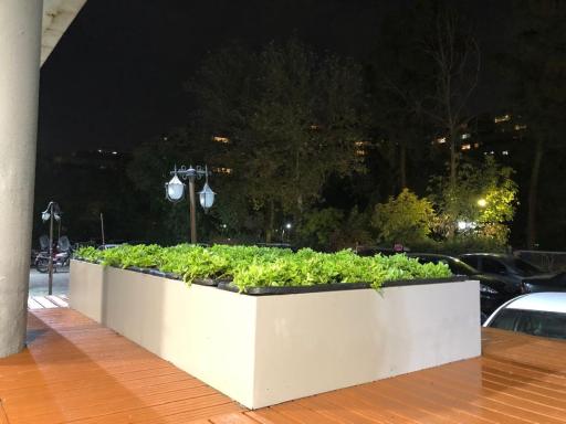 عکس پاپابرگر