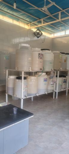 عکس عرقیات گل صحرا