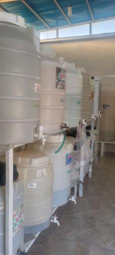 عکس عرقیات گل صحرا