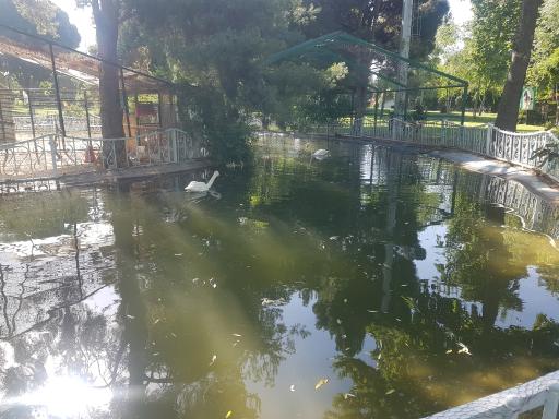 عکس دشت بهشت