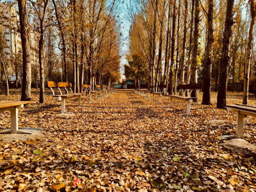 عکس دبیرستان پسرانه تیزهوشان علامه حلی 2