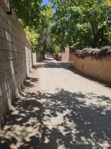 عکس باغات قصردشت