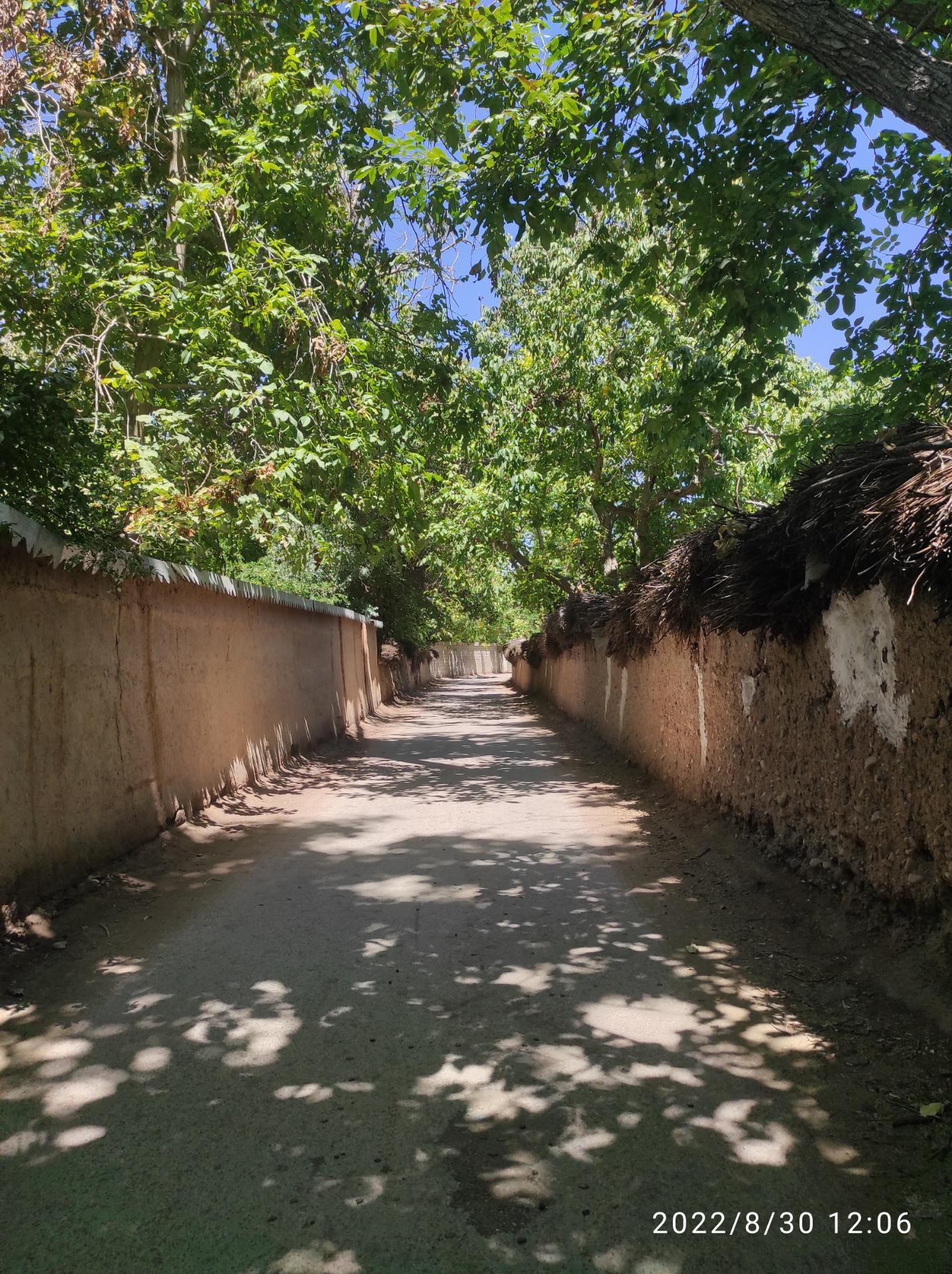 عکس باغات قصردشت