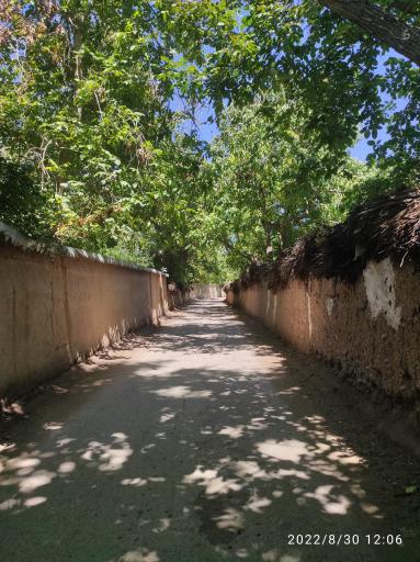 عکس باغات قصردشت