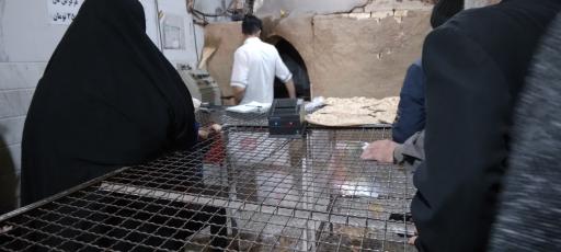 عکس نانوایی تافتون سنتی قدس