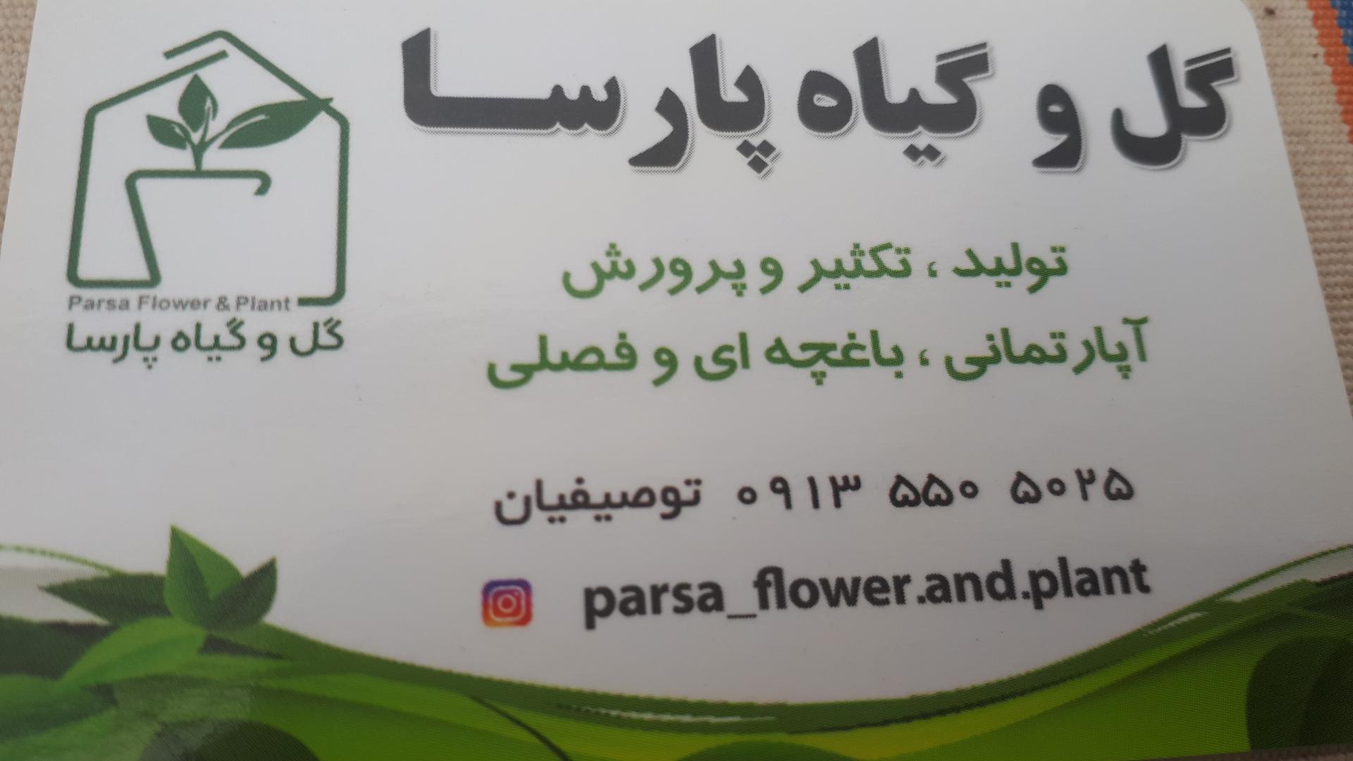 عکس گل و گیاه پارسا