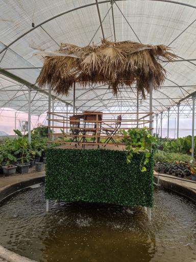 عکس باغ گل روما صیفیجان