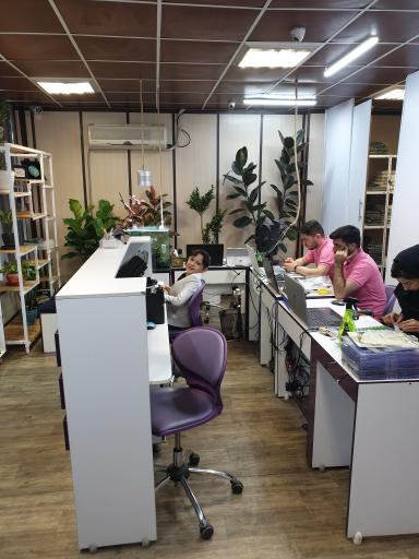 عکس آسا الکترونیک