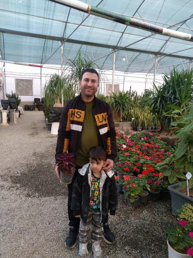 عکس باغ گل روما صیفیجان