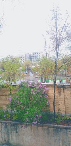 عکس دانشگاه فرهنگیان (پردیس شهید باهنر شهرکرد)