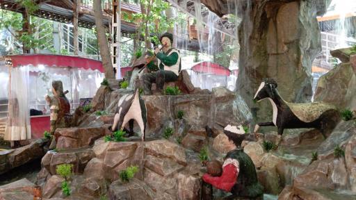 عکس رستوران ستاره ابی شاندیز ابرده