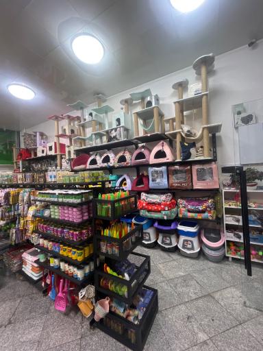 عکس پت شاپ مهر
