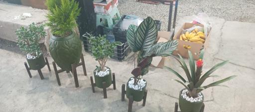 عکس باغ گل روما صیفیجان