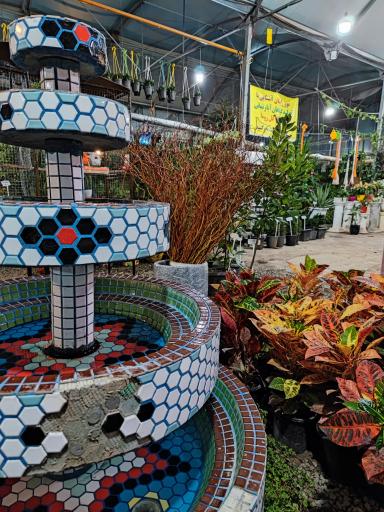 عکس باغ گل روما صیفیجان