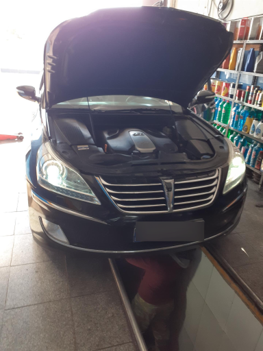 عکس مکانیکی و باطری سازی داود و محمد