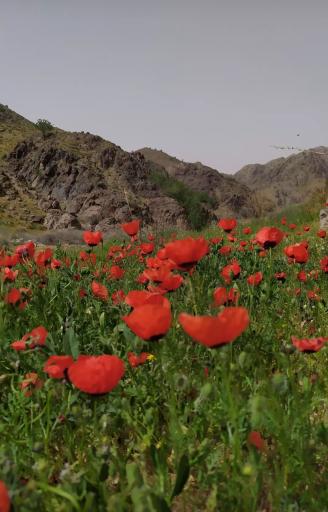 عکس رشته کوه کیبر