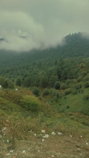 عکس چم عالی