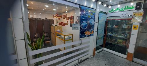 عکس تعمیرات عینک فرزاد