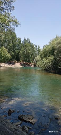 عکس چم عالی