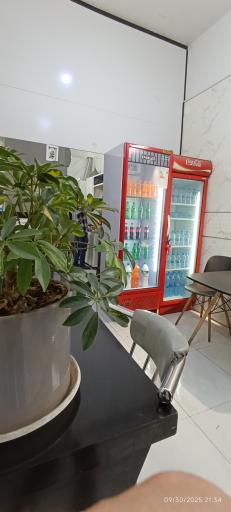 عکس کباب سلطان