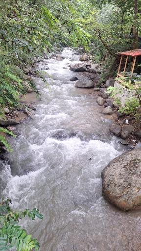 عکس لاکه تاشون
