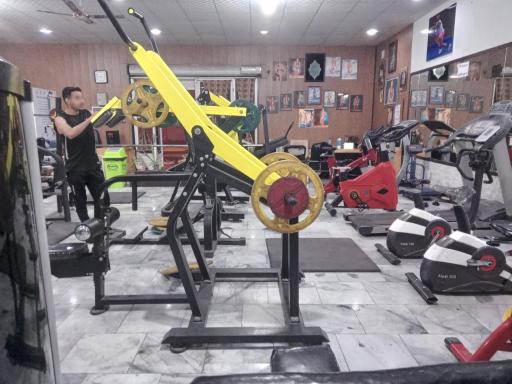 عکس باشگاه شکوری