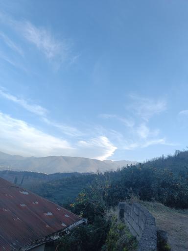 عکس کلجار
