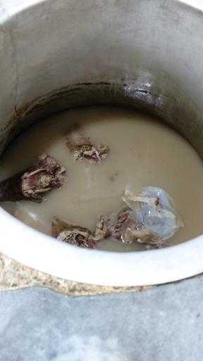 عکس طباخی بامداد