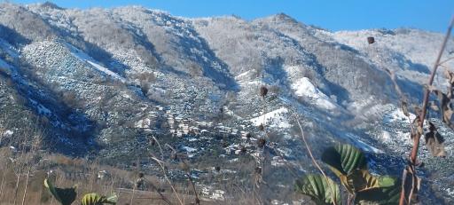 عکس کلجار